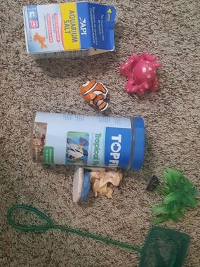 Tropical Fish Set Aquarium